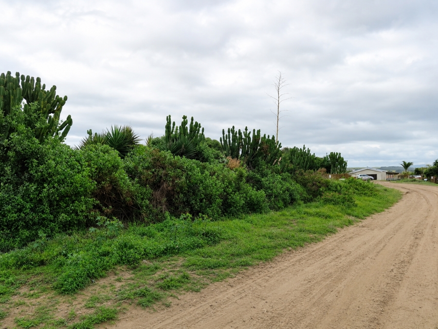 0 Bedroom Property for Sale in Forest Downs Eastern Cape